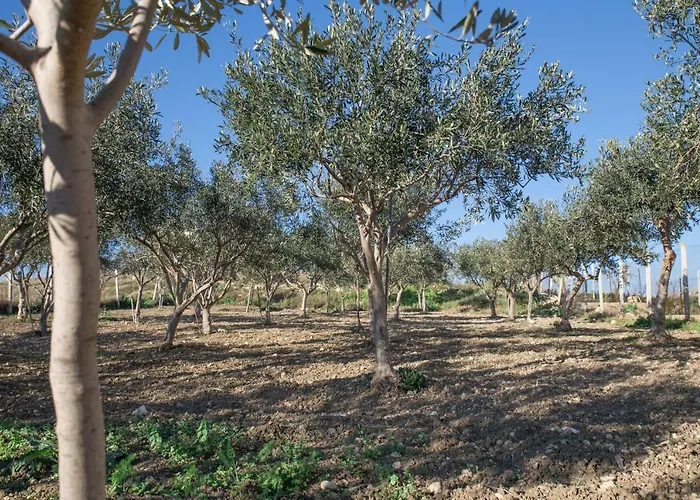 La Veranda 3*
