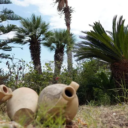 La Veranda לינה וארוחת בוקר